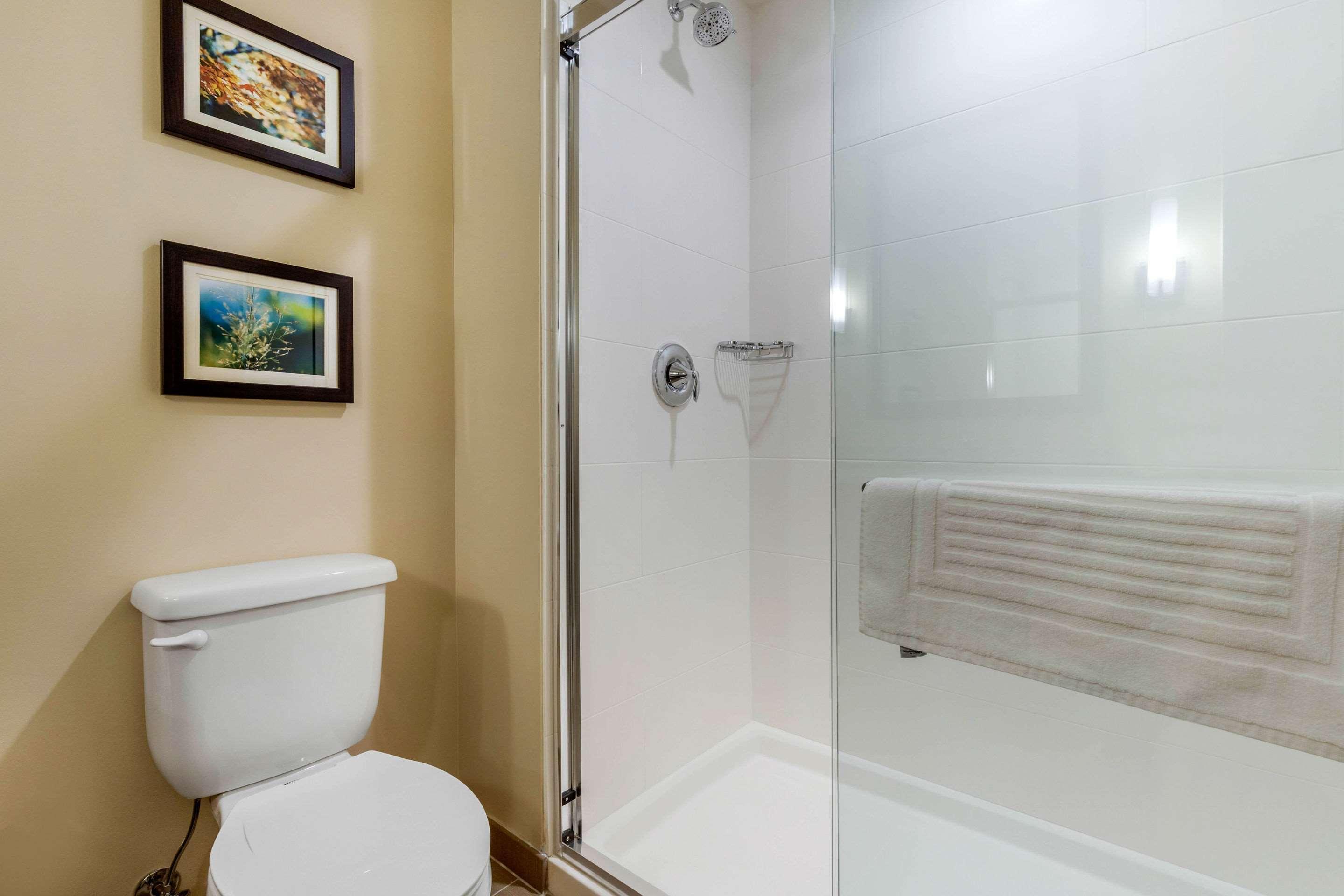 Comfort Inn & Suites Флоренс Екстер'єр фото