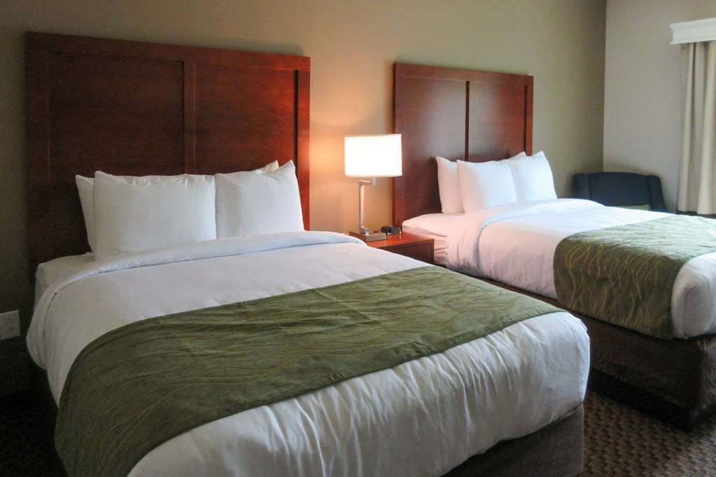 Comfort Inn & Suites Флоренс Номер фото